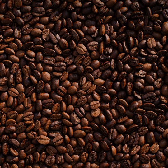 Commercial Coffee Beans