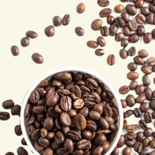 What is Arabica Coffee Types Of Coffee Cafe Du Monde