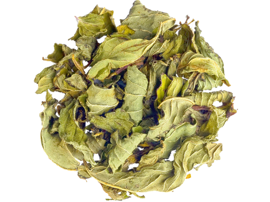 Peppermint Loose Leaf Tisane Tea