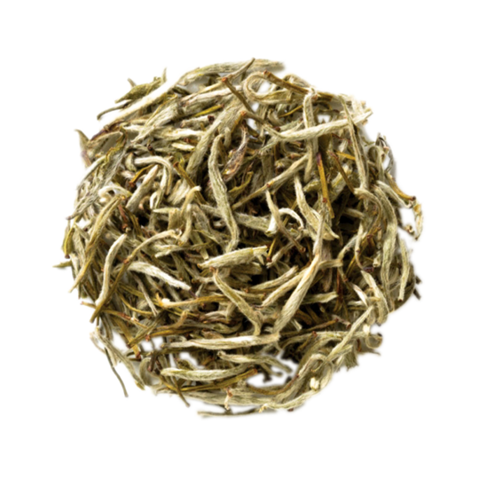 LOOSE LEAF TEA White Silver Needle