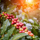 Coffee Sun