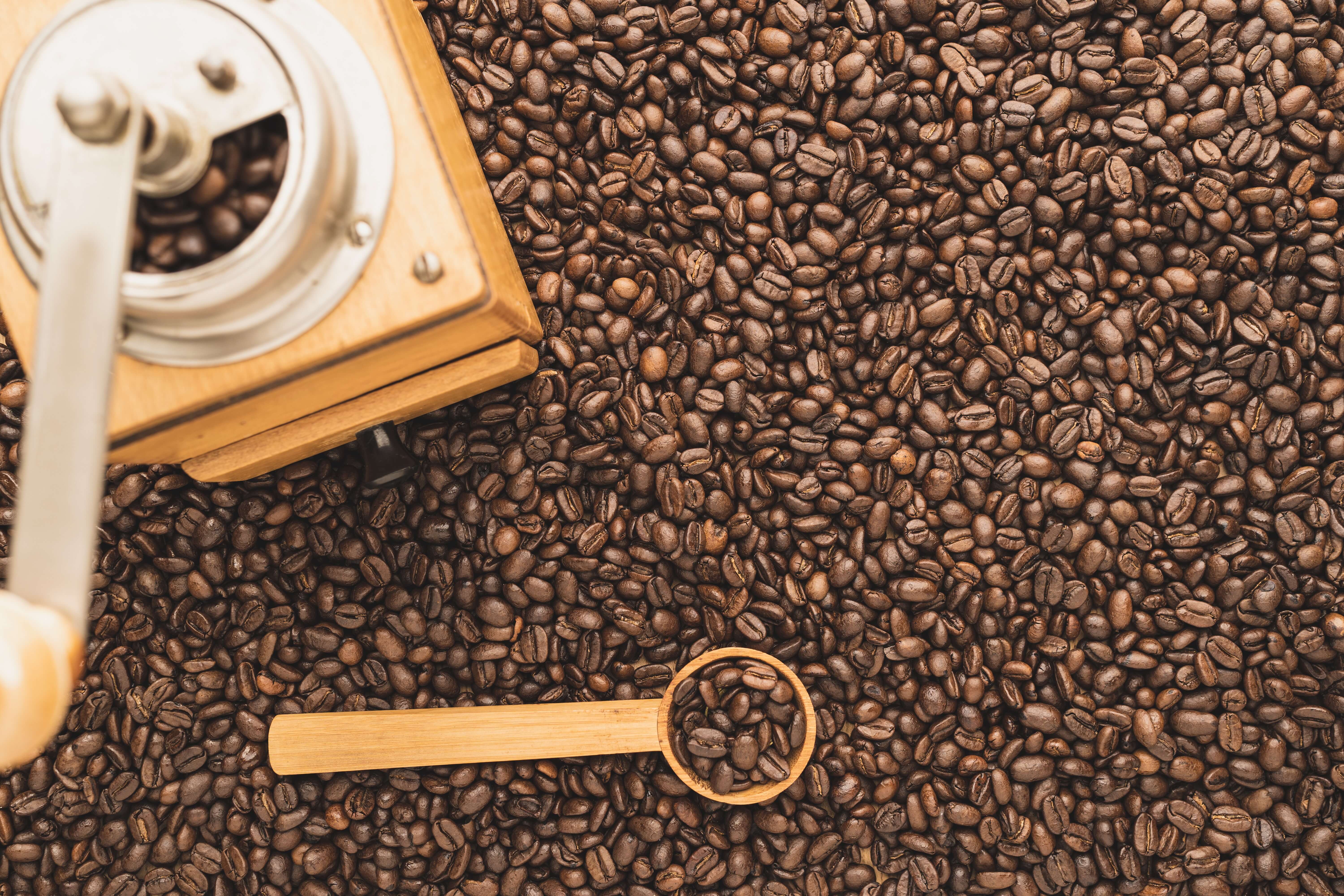Лучший кофе в зернах 2023. Зерна кофе кофемолка. Кофейные зерна в кофемолке. Кофе из цельных зерен. Кофемолка текстура.