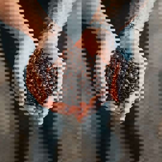 Commercial Espresso Coffee Beans