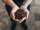 Commercial Espresso Coffee Beans