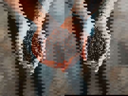 Commercial Espresso Coffee Beans