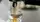 Commercial Espresso Machine Making Drink