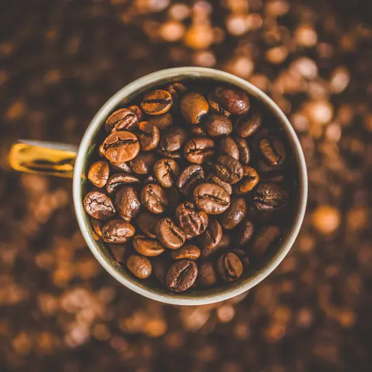 Coffee Beans In Mug