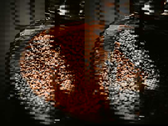 Coffee Beans