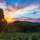 Sunset Over Coffee Plantation
