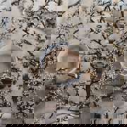 Pexels Ioana Motoc 7810110 (1)