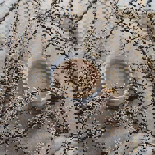 Pexels Ioana Motoc 7810110 (1)