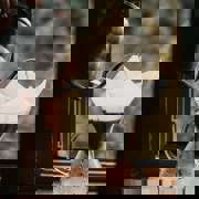 Pexels Dmitriy Ganin 7790320 (1)