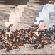 Pexels Jessica Lewis Creative 606545