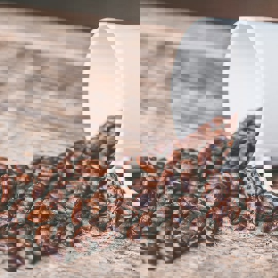 Pexels Jessica Lewis Creative 606545