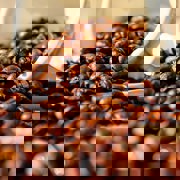 Pexels Pixabay 144253