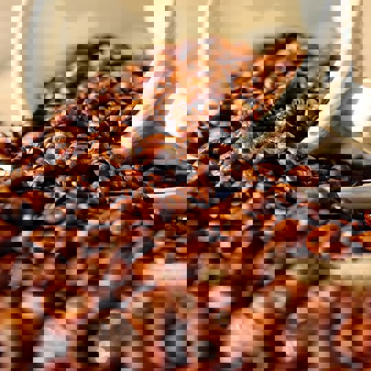 Pexels Pixabay 144253