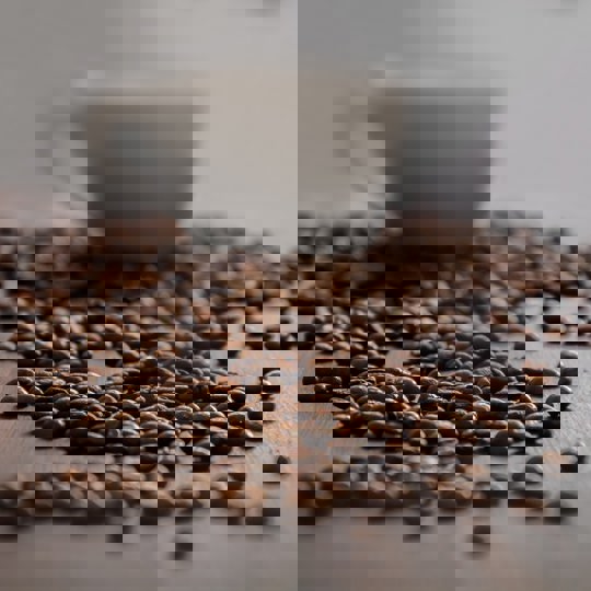 Pexels Pixabay 261434