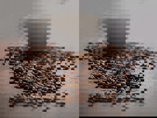 Pexels Pixabay 261434