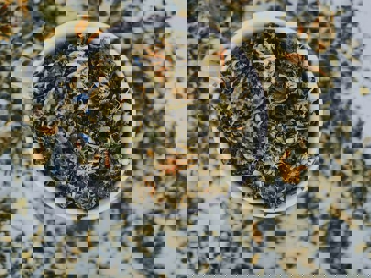 Pexels Lil Artsy 1793035