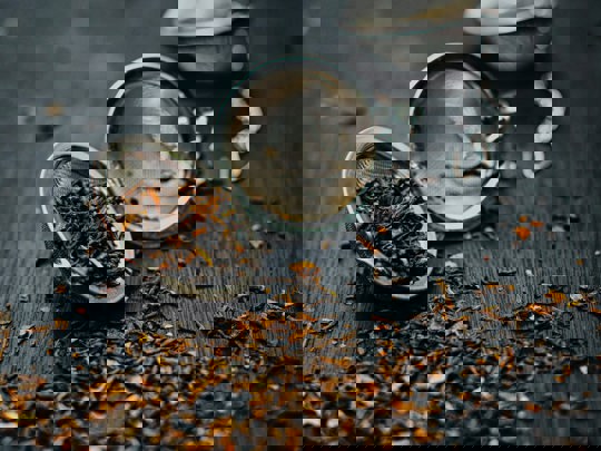 Pexels Koko Rahmadie 227908