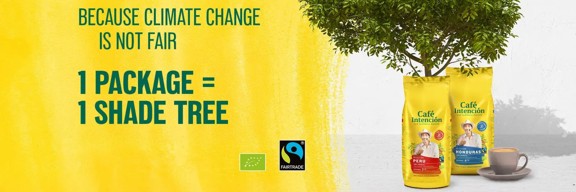 Cafe Intencion Header (1)