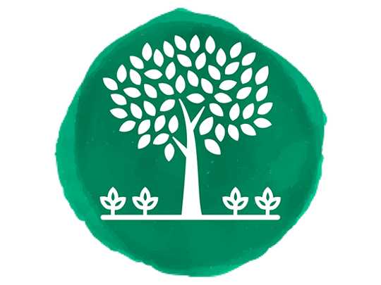 01 Schattenbaum Mit Setzlingen