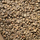 Light Coffee Beans