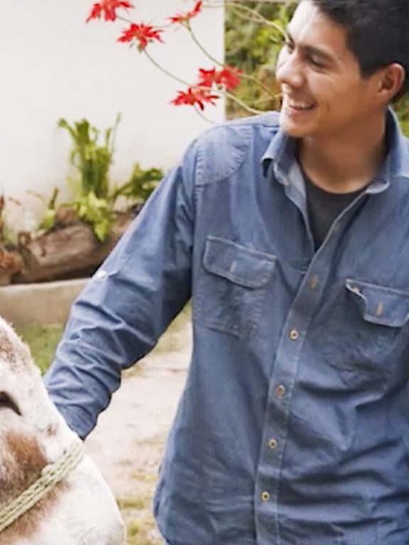 Cafe Intencion Immer Fairtrade Header Kaffeproduzentin Esel Sohn