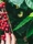 Cafe Intencion Natuerlich Bio Header
