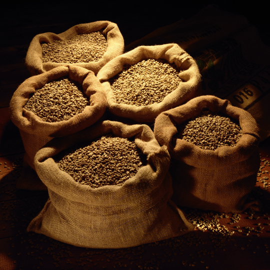 Coffee Roasting 3
